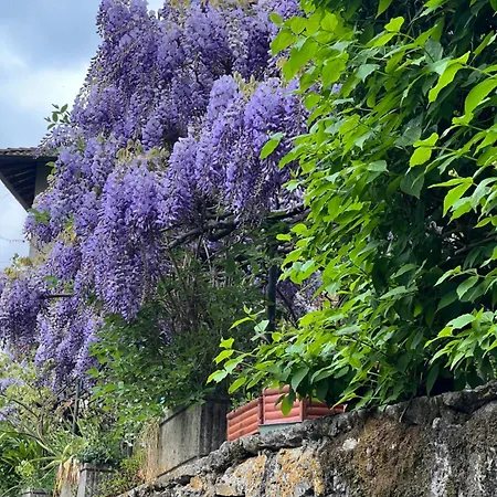 La Ca De Poz - View Pognana Lario
